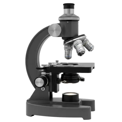 Imagen PNG para descargar